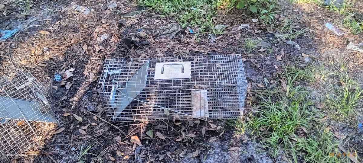 two medium size animal traps - Eagle Lake, Florida - FleaMarketBay