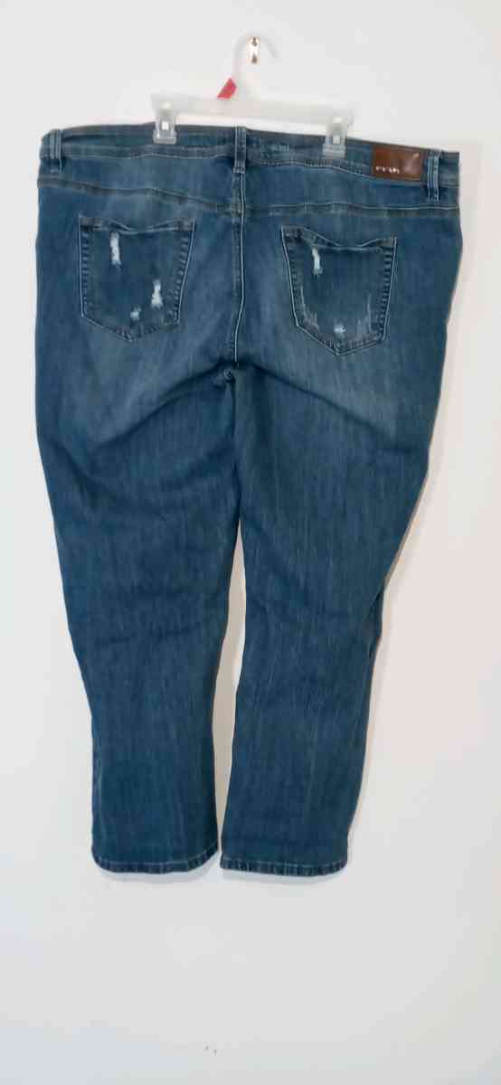 Womens Plus Size Denim Jeans 22 - Dane, Wisconsin - FleaMarketBay