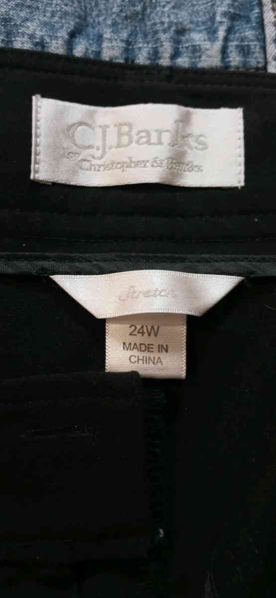 Womens Plus Size Dress Slacks 24 - Dane, Wisconsin - FleaMarketBay