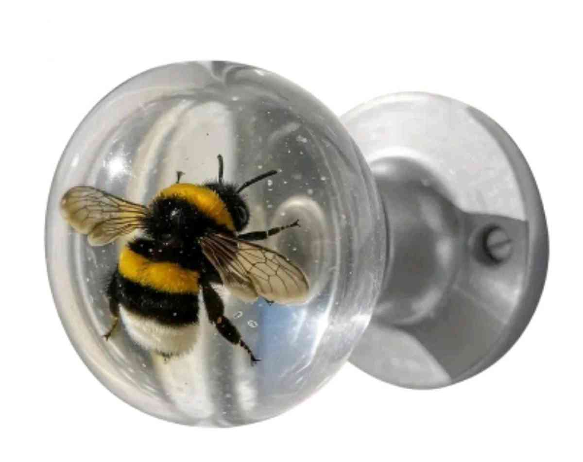 Doorknobs for cabinets and other areas Turtle and fish sold - Palm Bay, Florida - FleaMarketBay