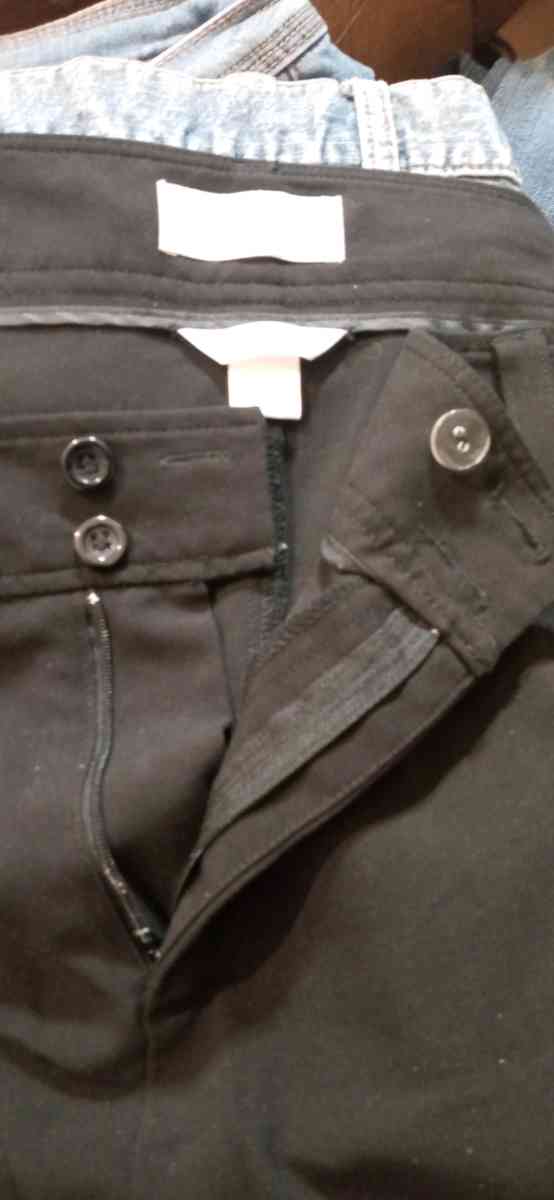 Womens Plus Size Dress Slacks 24 - Dane, Wisconsin - FleaMarketBay