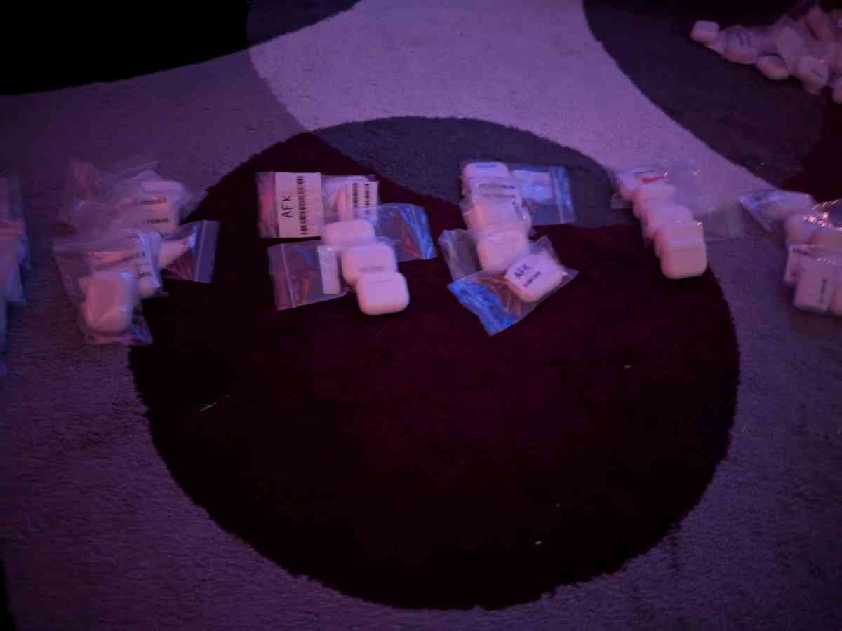 Apple Max headphones Apple earbuds - Elizabeth, New Jersey - FleaMarketBay