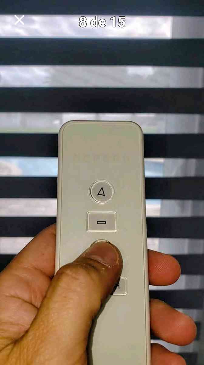 zebra Shades Roller shades screen o blackout blinds