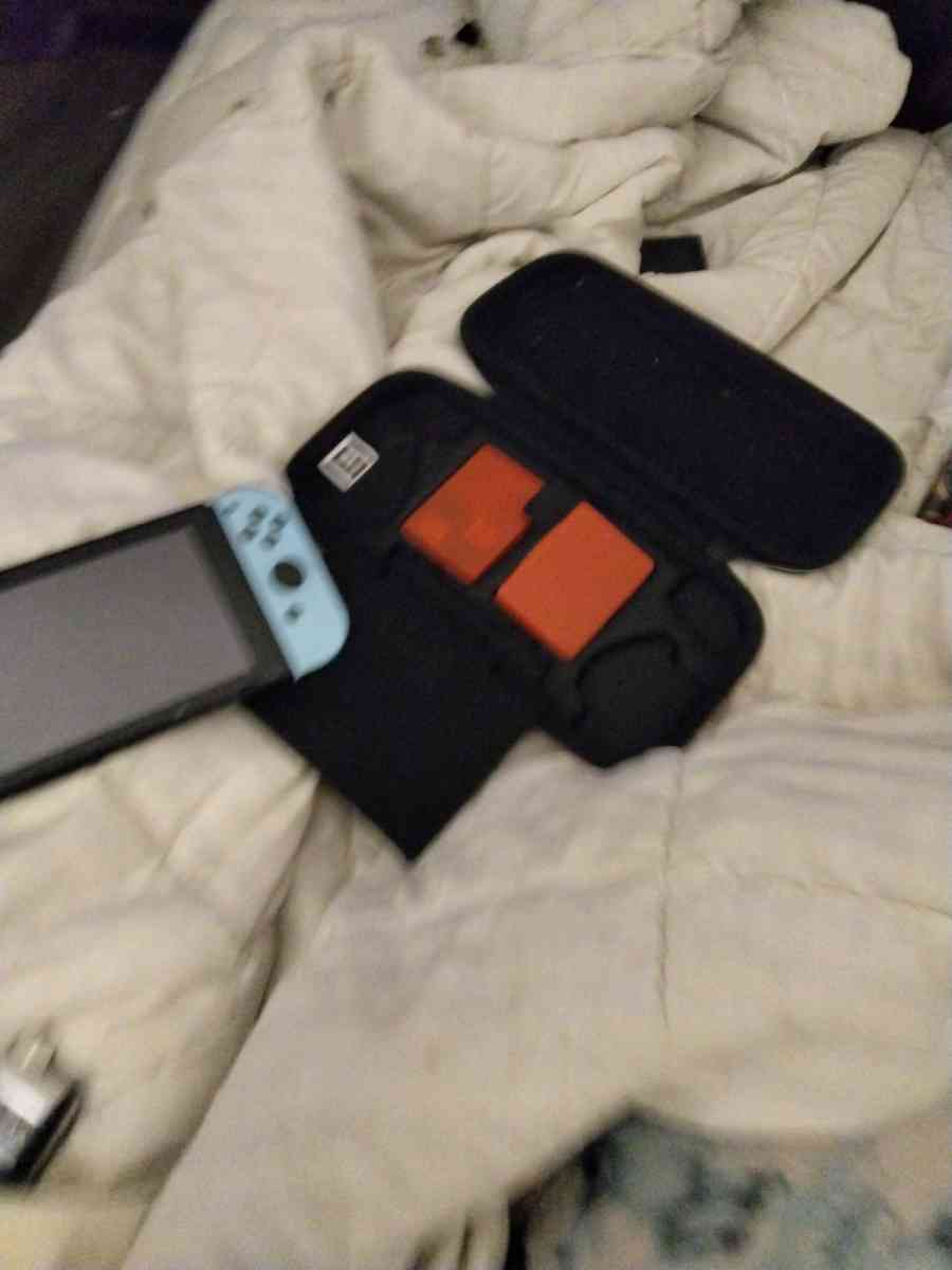 Nintendo switch - Flint, Michigan