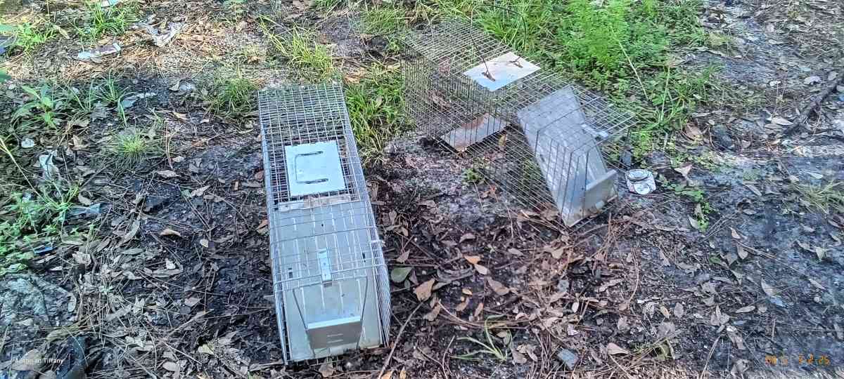 two medium size animal traps - Eagle Lake, Florida - FleaMarketBay