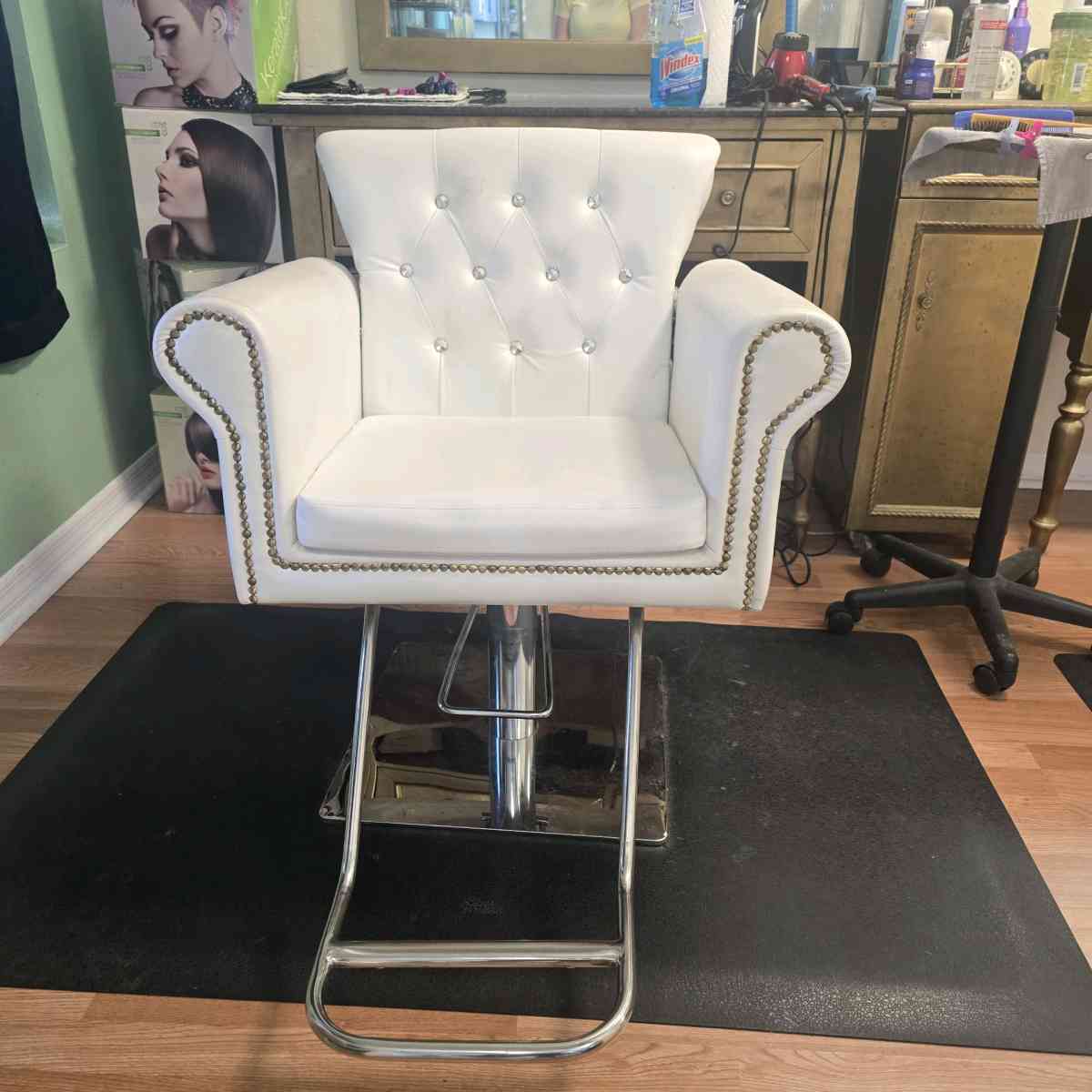 luxury salon chair - Tampa, Florida
