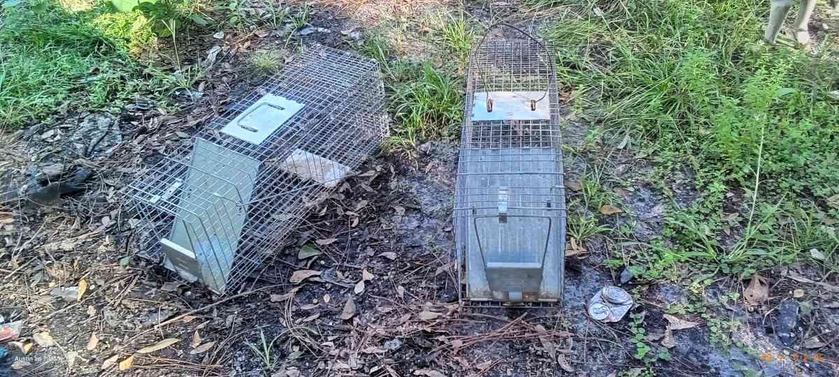 two medium size animal traps - Eagle Lake, Florida