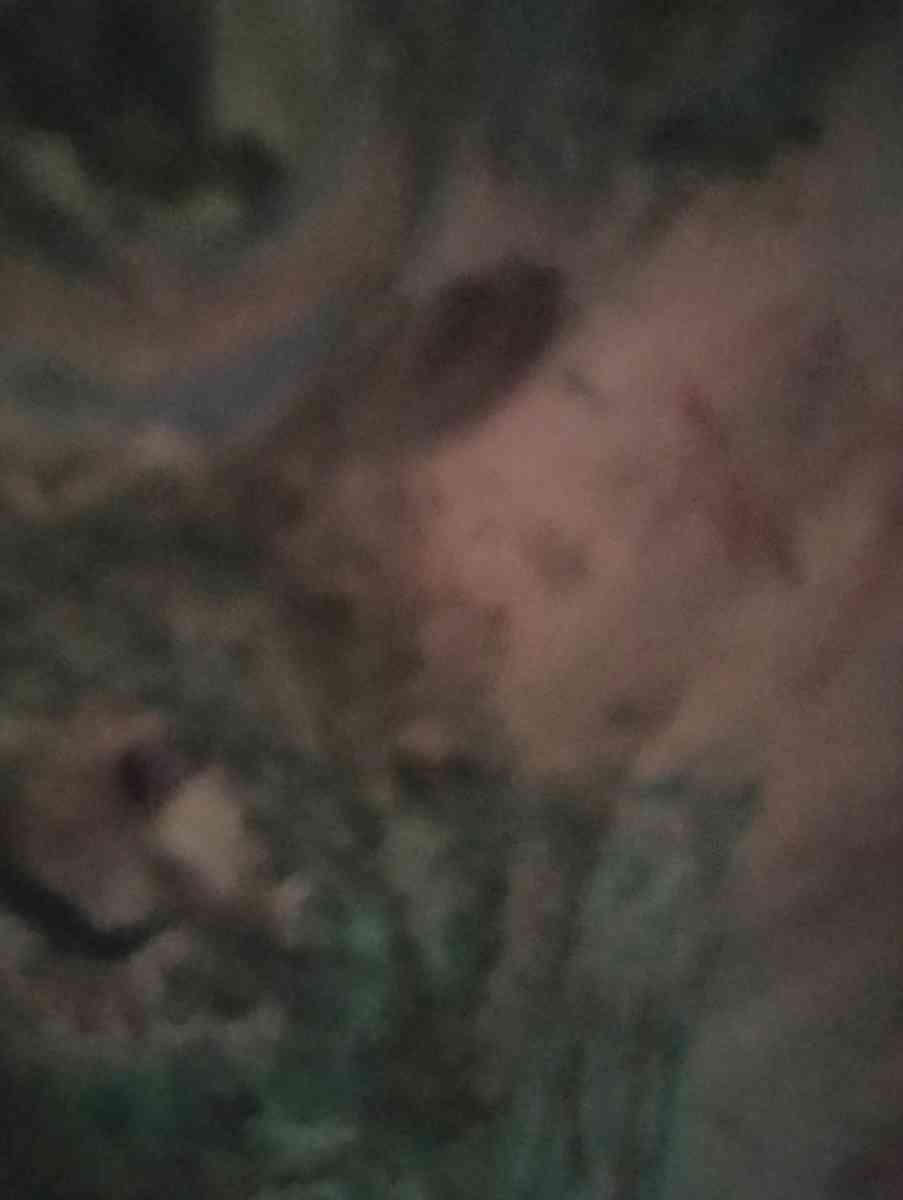 looking for art supplies - Bend, Oregon - FleaMarketBay