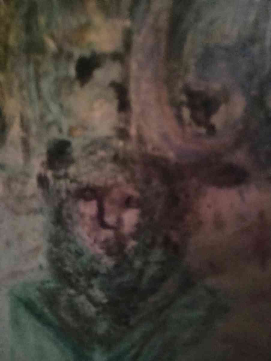 looking for art supplies - Bend, Oregon - FleaMarketBay