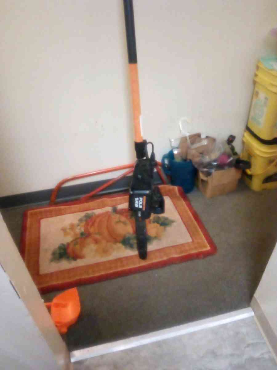 Remington pole saw - Latrobe, Pennsylvania - FleaMarketBay