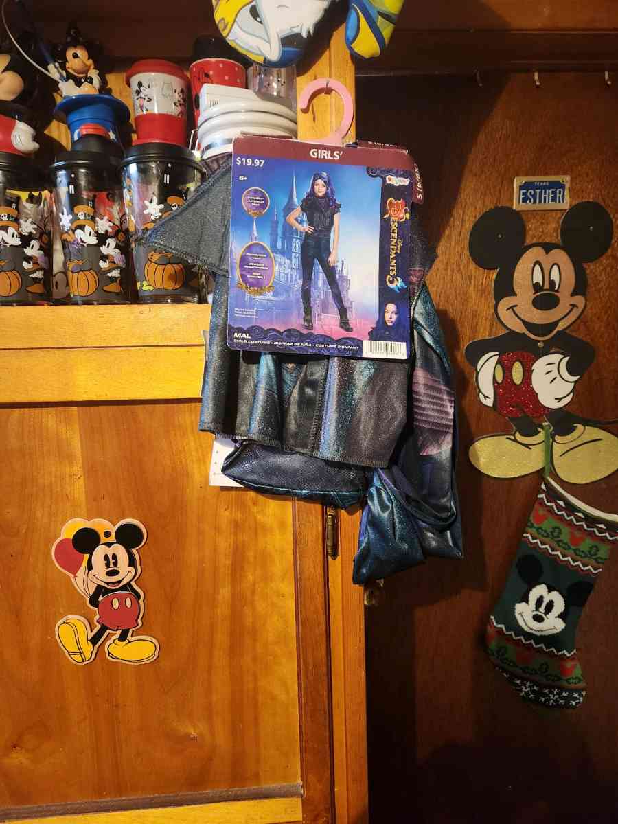 costumes - Corpus Christi, Texas - FleaMarketBay