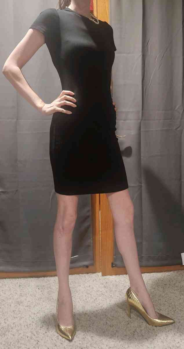 Zara elegant black bodycon dress - Wyoming, Michigan - FleaMarketBay