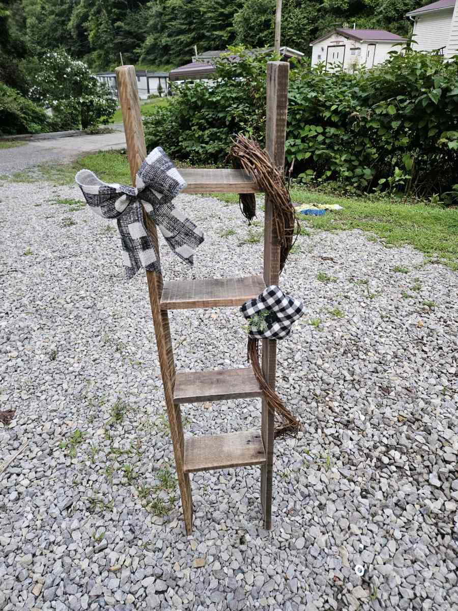 primitive ladder - Gilbert, West Virginia