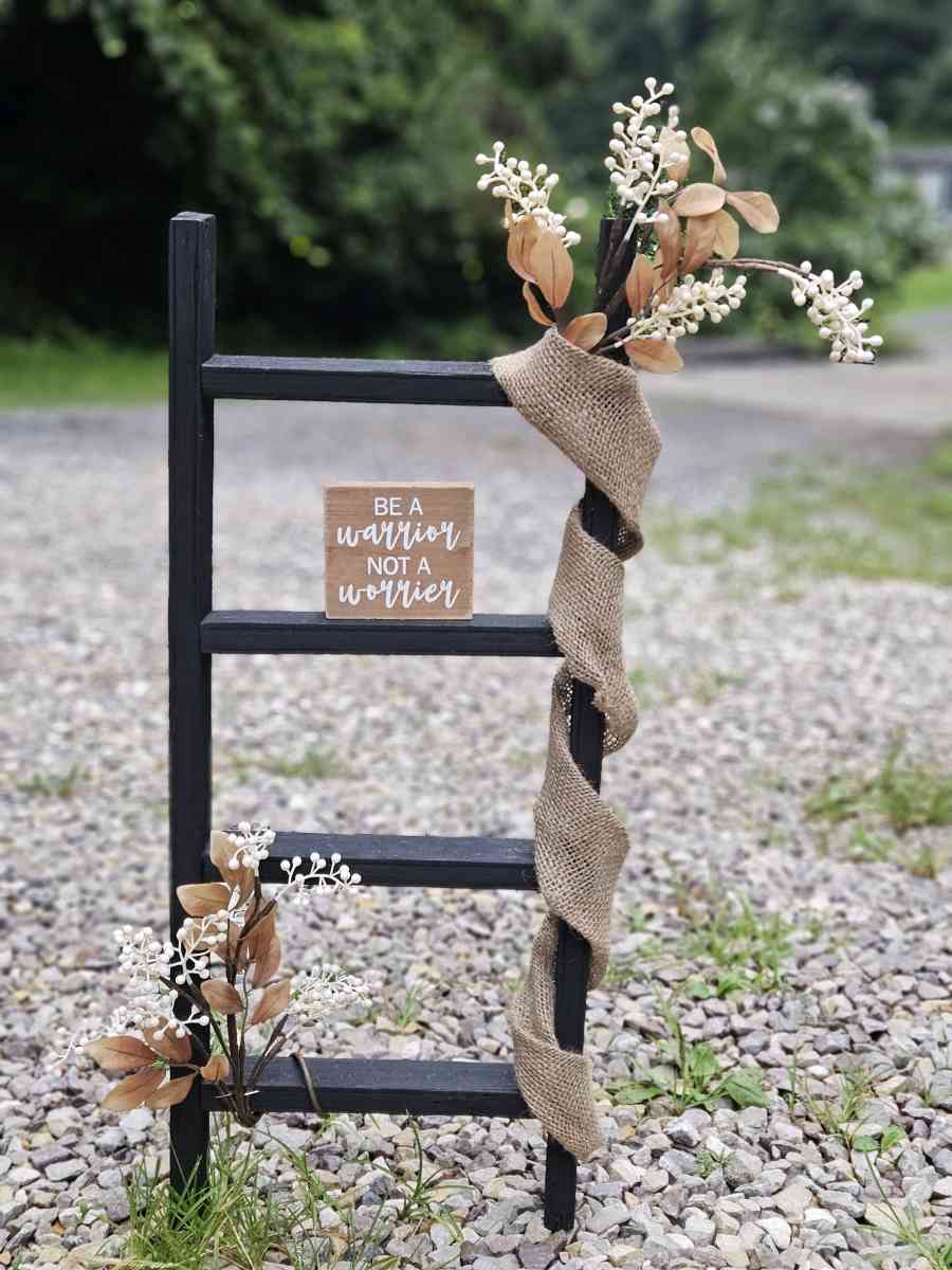 small ladder - Gilbert, West Virginia