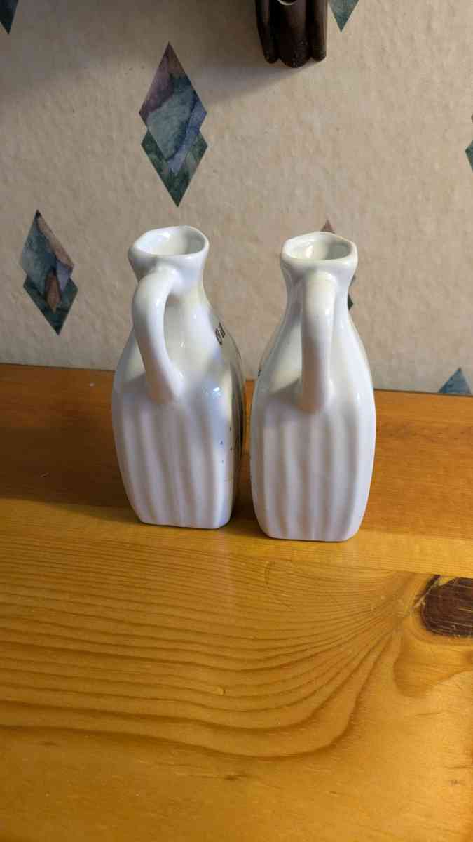 Vintage Oil and Vinegar Cruet Set with White Geese - Phoenix, Arizona - FleaMarketBay