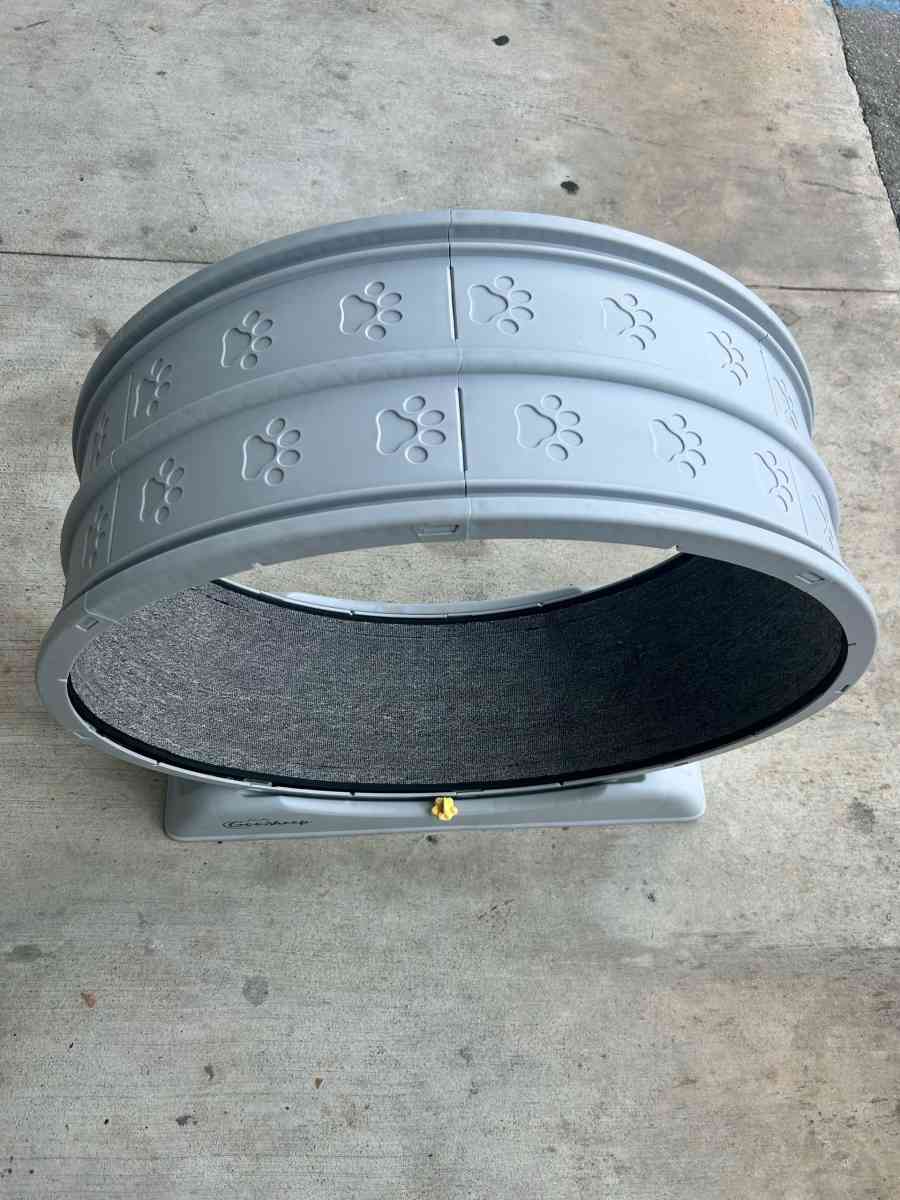 Cat Treadmill - Miami, Florida