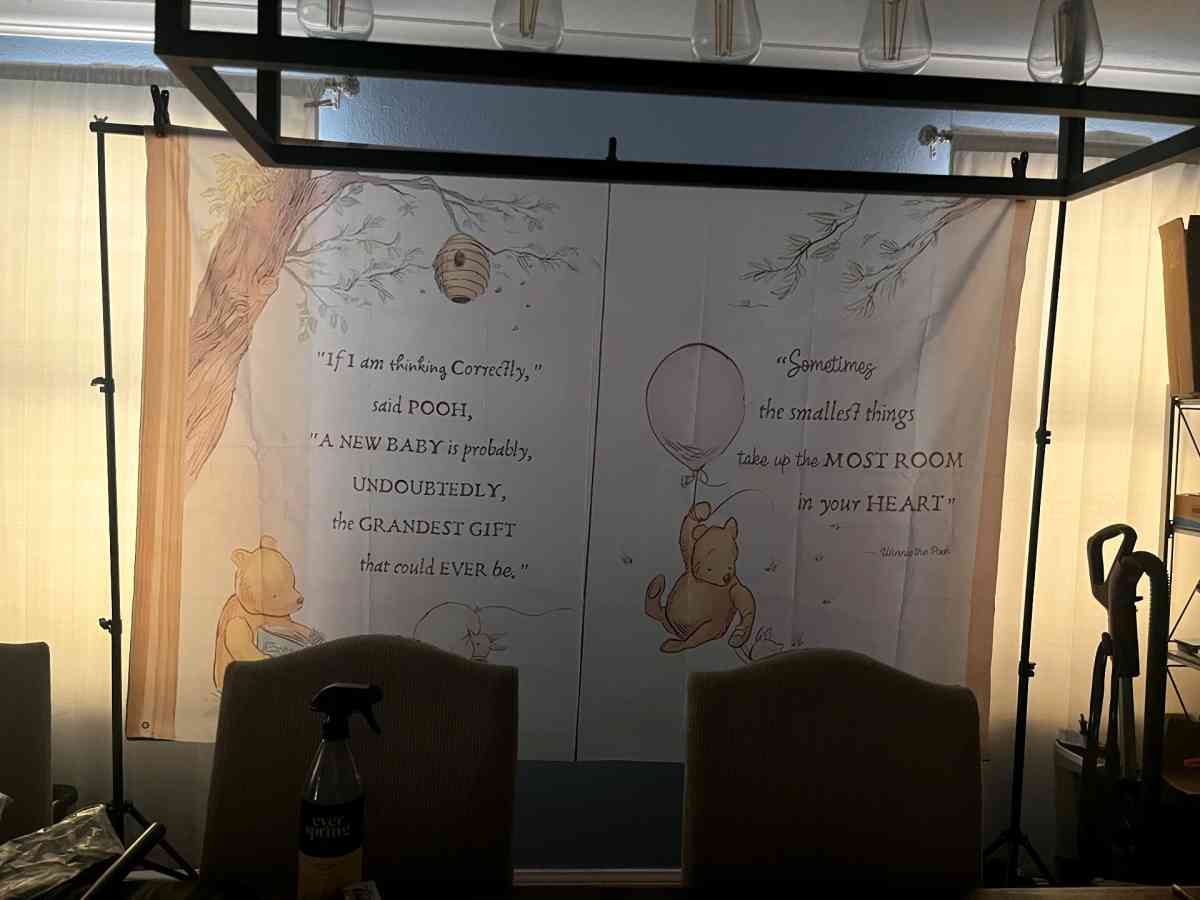Winnie the pooh baby shower decorations - Corpus Christi, Texas - FleaMarketBay