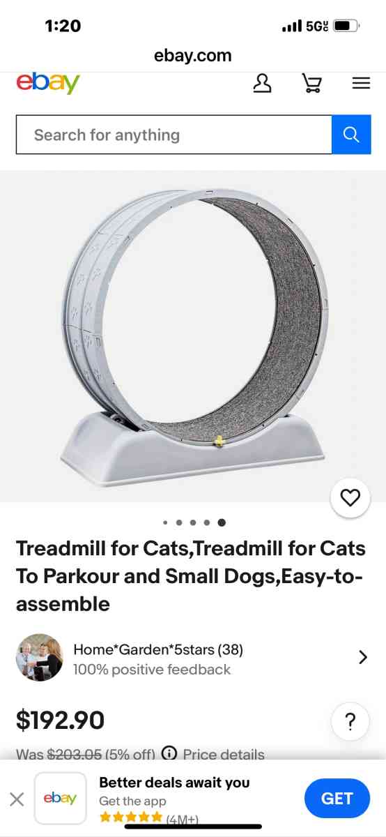 Cat Treadmill - Miami, Florida - FleaMarketBay