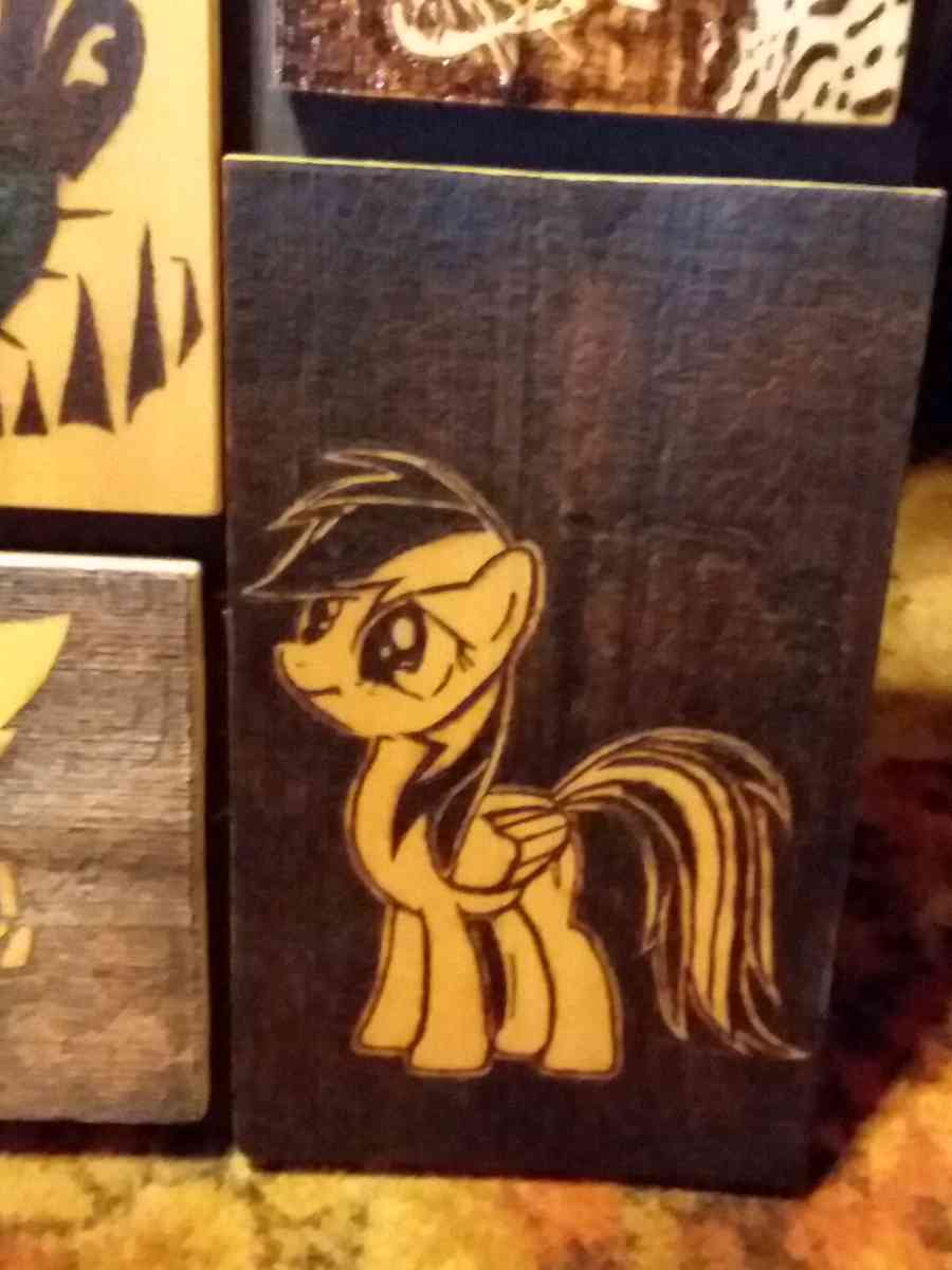 My Little Pony pyrography - Bucksport, Maine