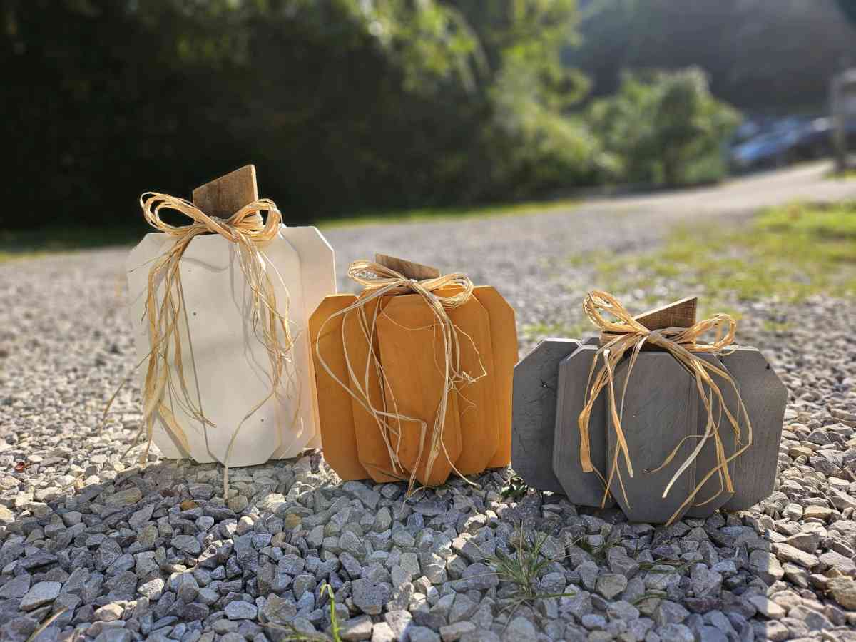 fall pumpkins - Gilbert, West Virginia