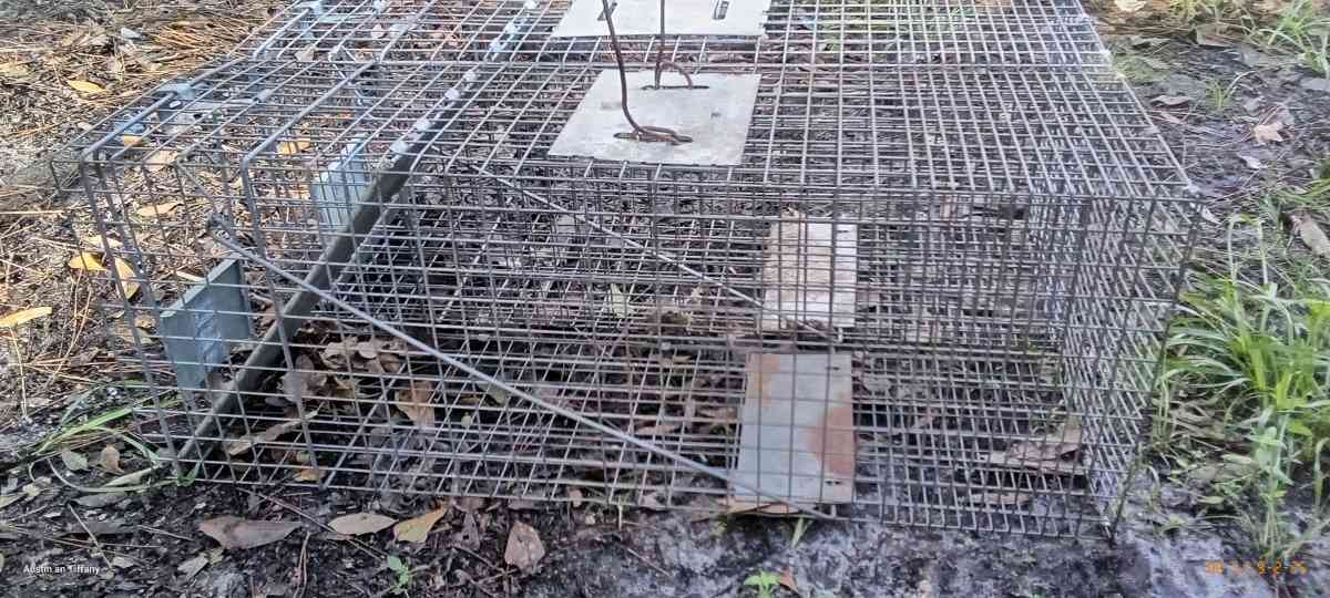two medium size animal traps - Eagle Lake, Florida - FleaMarketBay