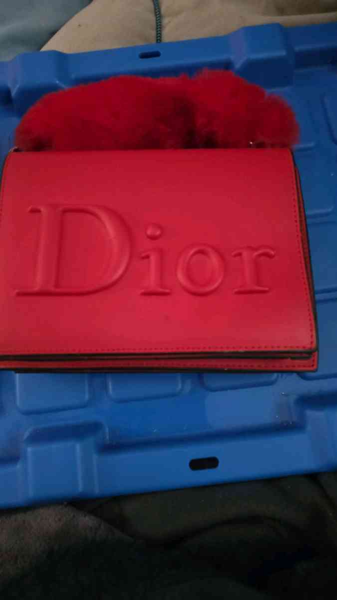Dior Leather and fur 2 way bag
