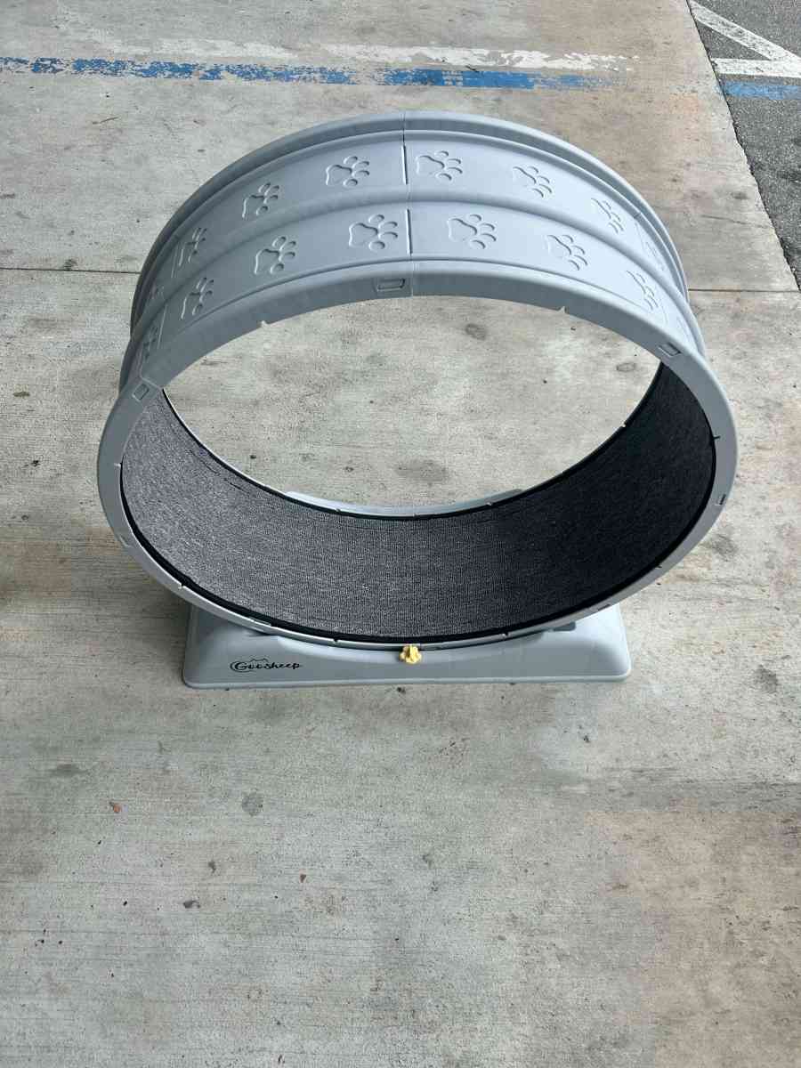 Cat Treadmill - Miami, Florida - FleaMarketBay