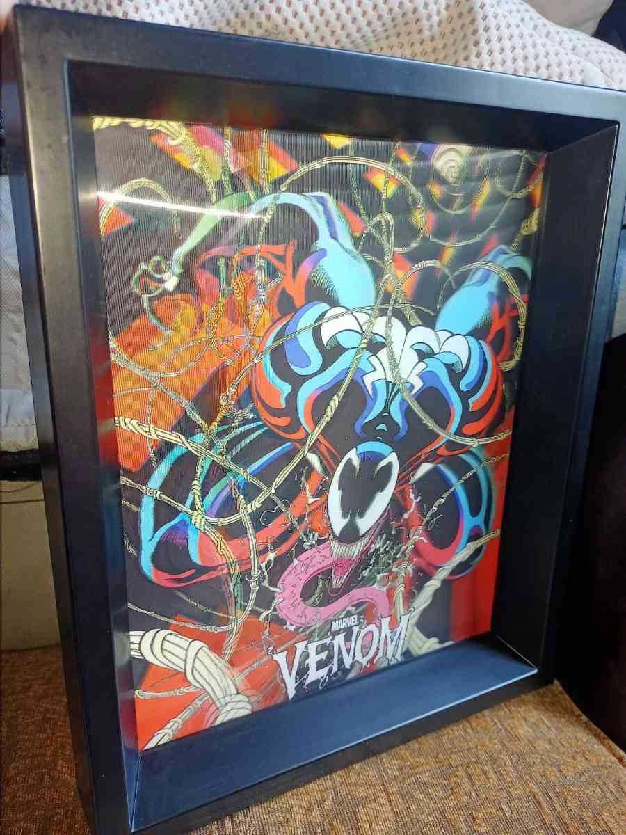 Venom frame - Cypress, Texas