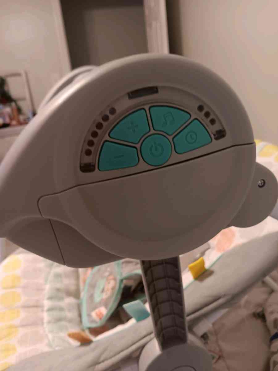 Baby swing and baby seat bundle - Lakeland, Florida - FleaMarketBay