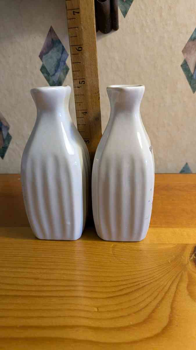 Vintage Oil and Vinegar Cruet Set with White Geese - Phoenix, Arizona - FleaMarketBay
