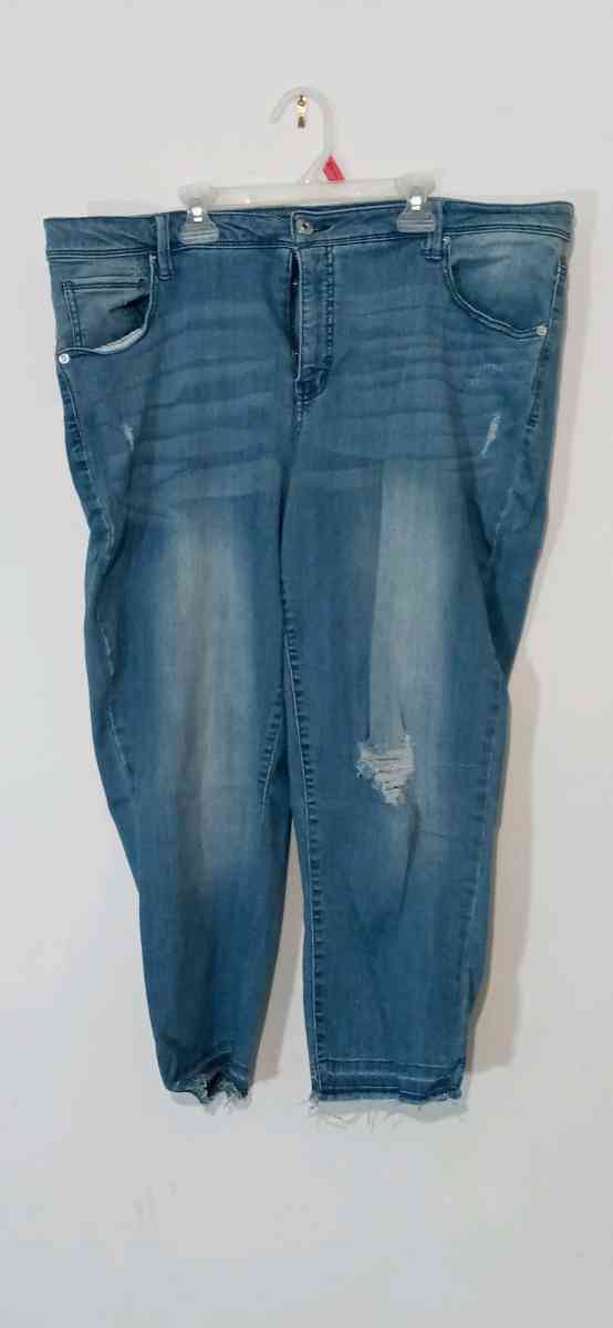 Womens Plus Size Stretch Jeans 22 - Dane, Wisconsin