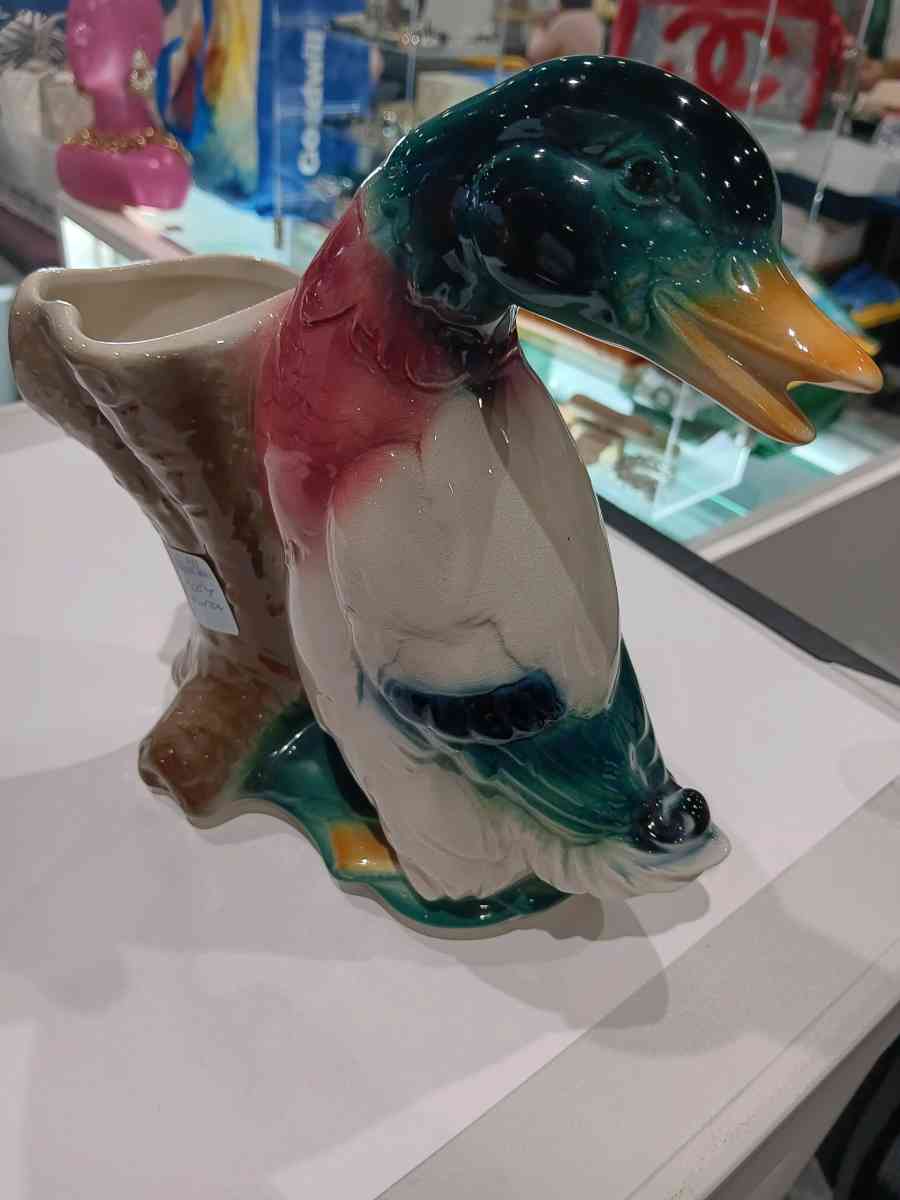 Royal Copley Duck - Boynton Beach, Florida