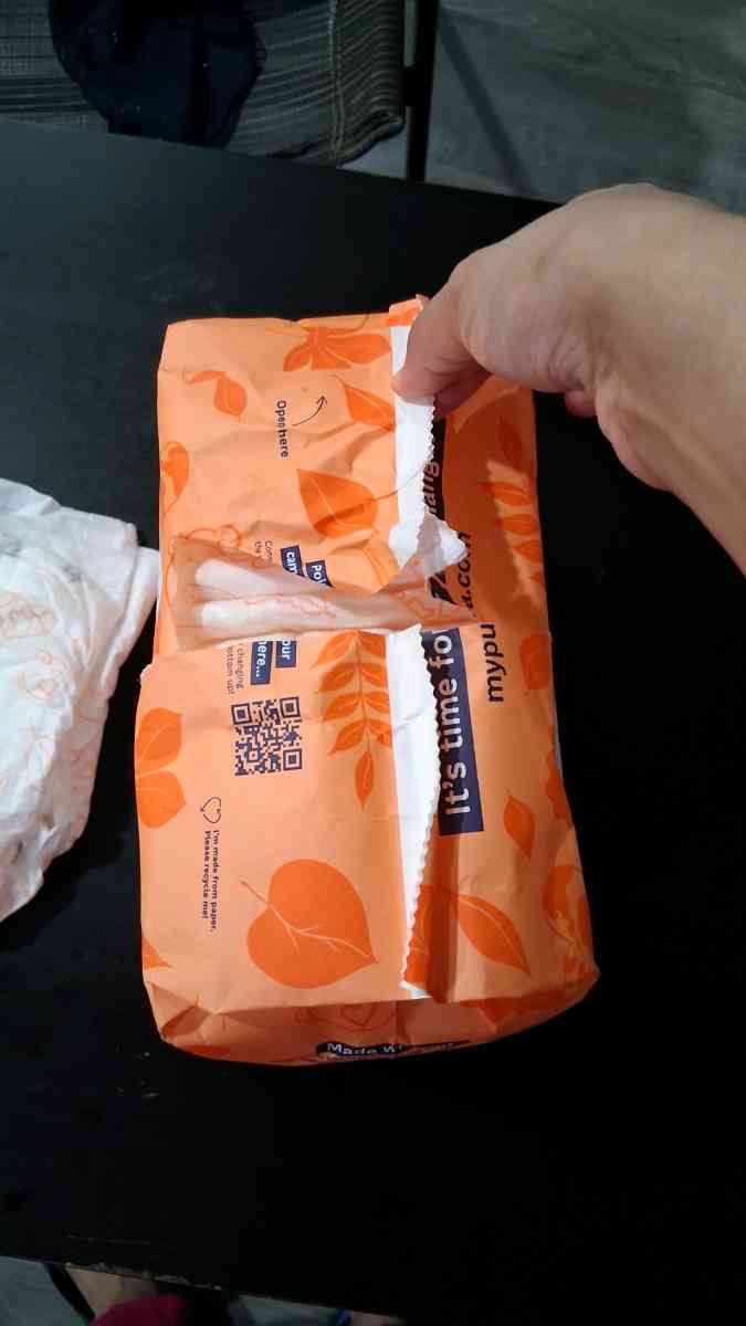 Pura diapers  size 4 count 22 - Amsterdam, New York - FleaMarketBay