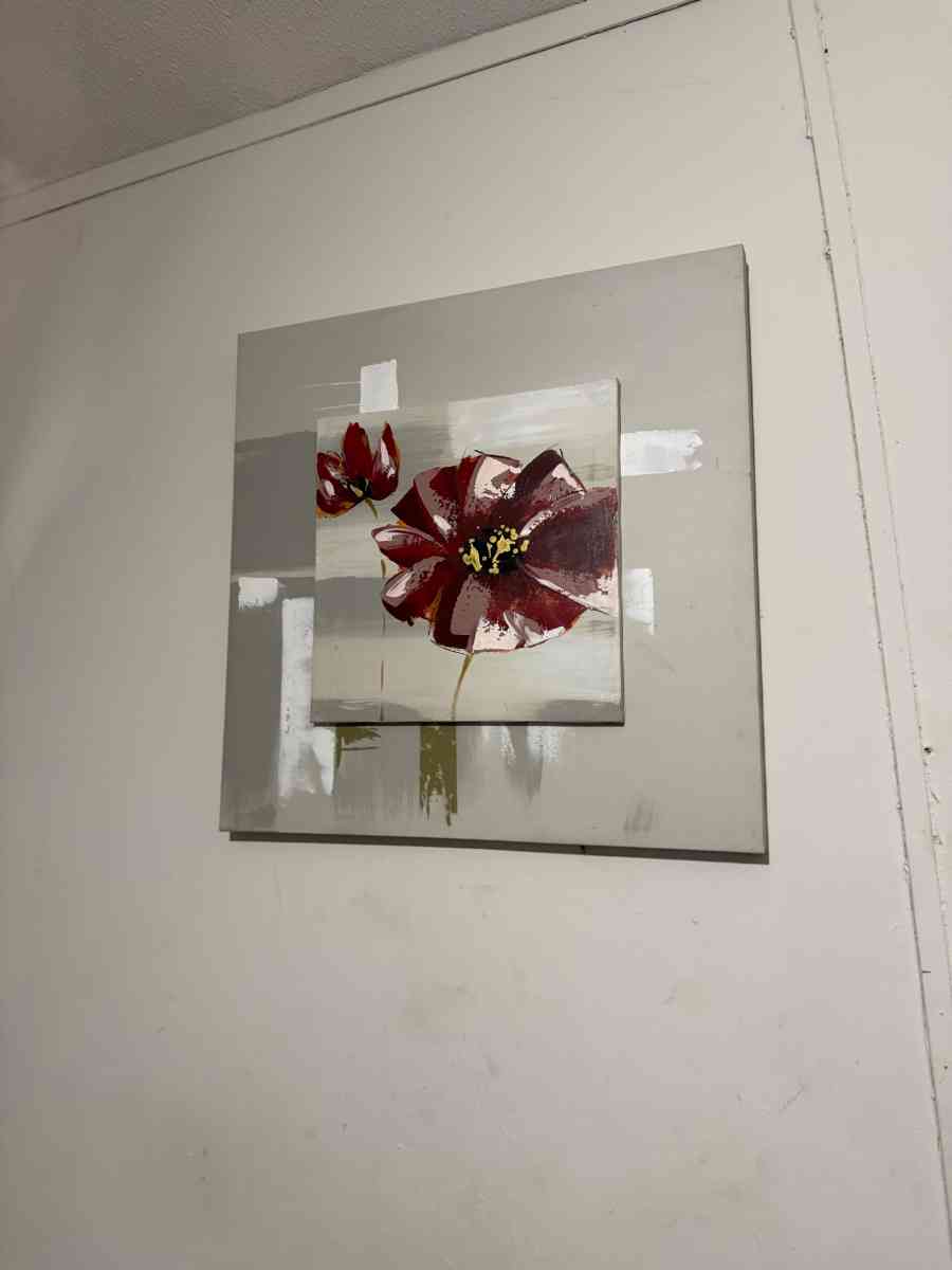 frames - San Antonio, Texas