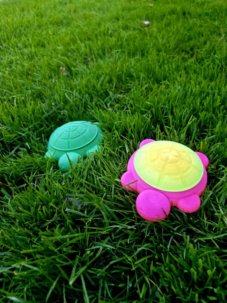 Mini Desktop Turtle Sandboxes - Saint Clair Shores, Michigan - FleaMarketBay