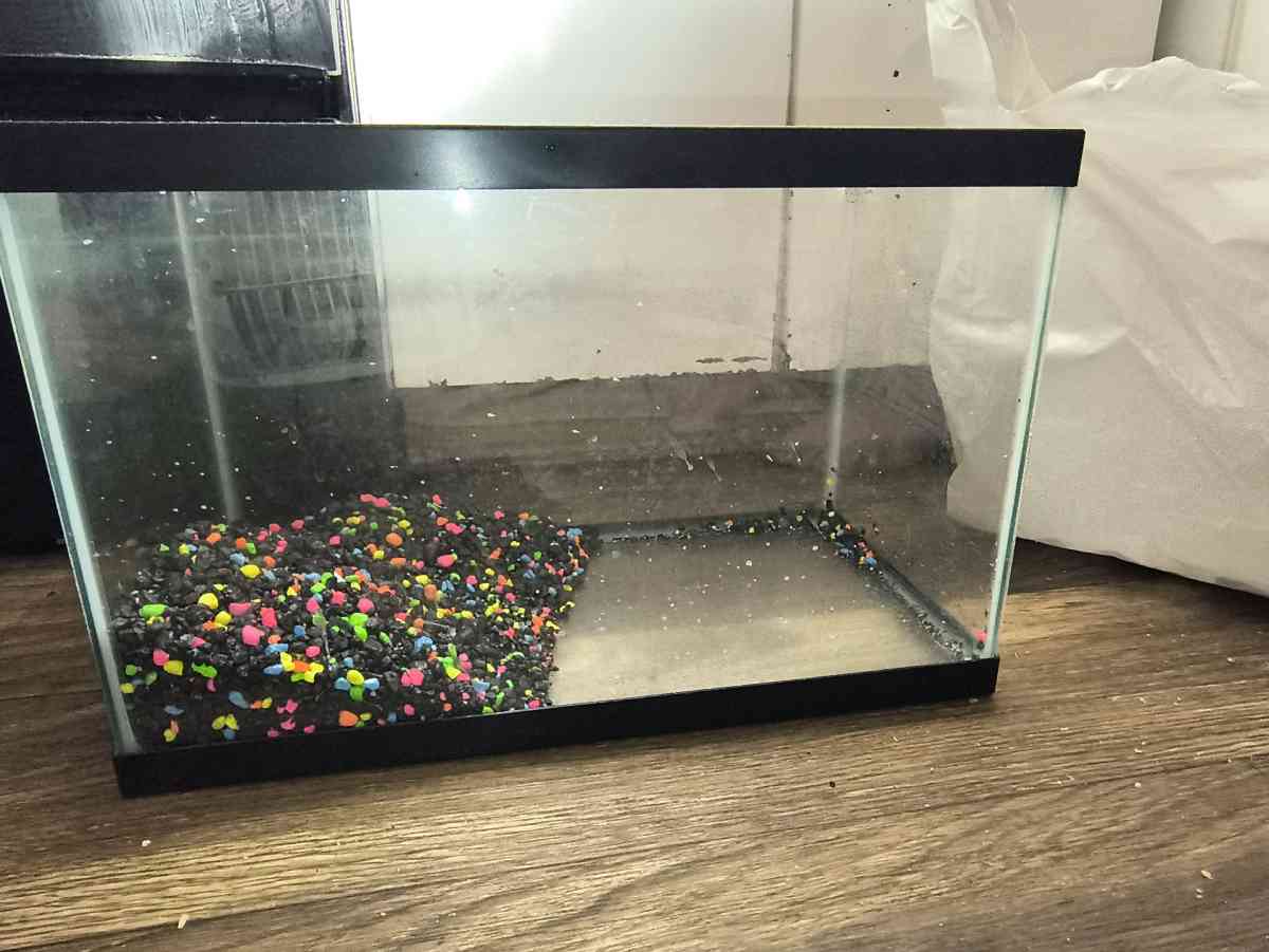 fish tank - Cherry Hill, New Jersey