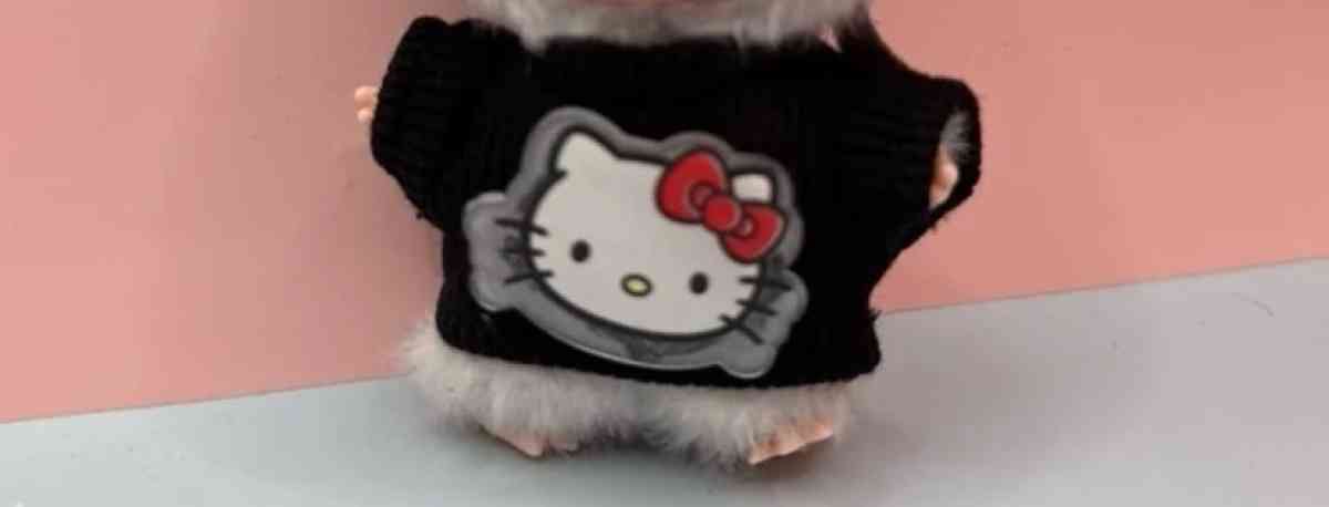 help kitty labubu - Adams, New York - FleaMarketBay