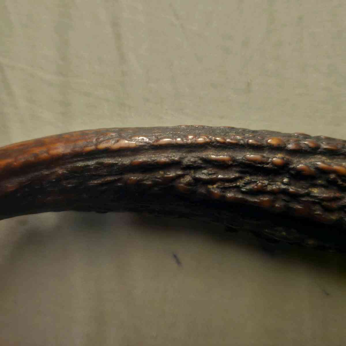 antler handle knife - Panorama City, California - FleaMarketBay