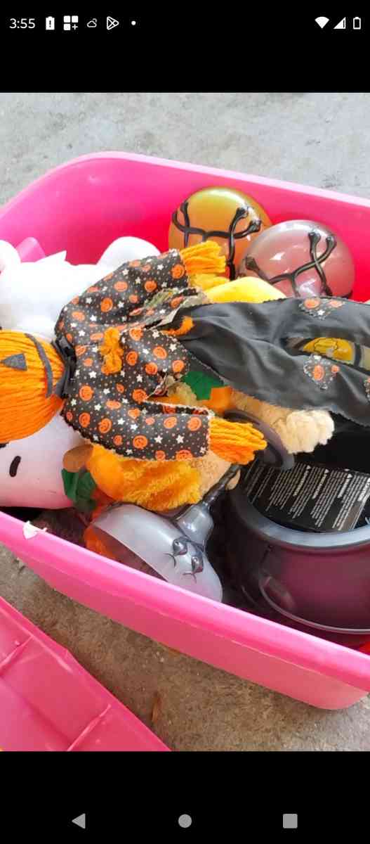 a whole tote full of Halloween and fall  items - Lakeland, Florida - FleaMarketBay