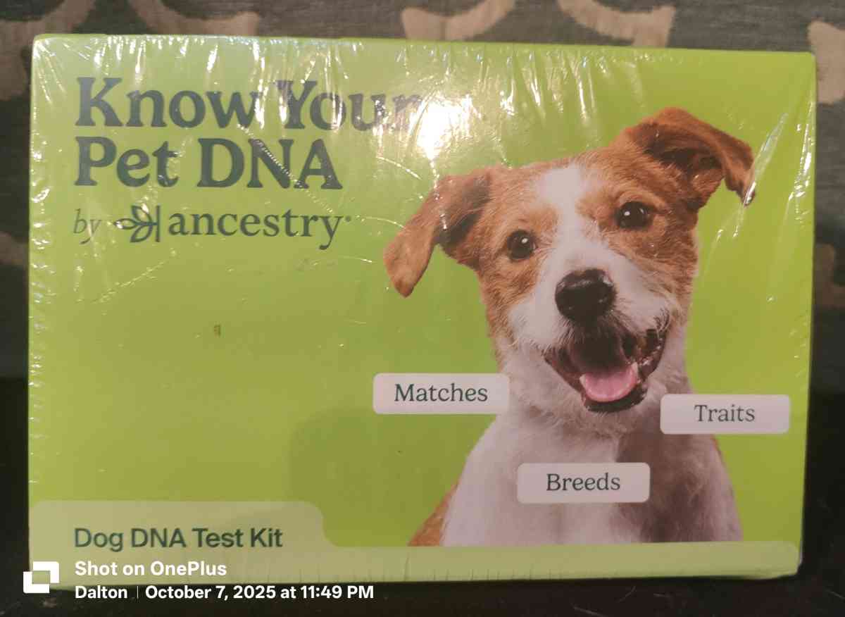 ancestry DNA test for dog - Acworth, Georgia