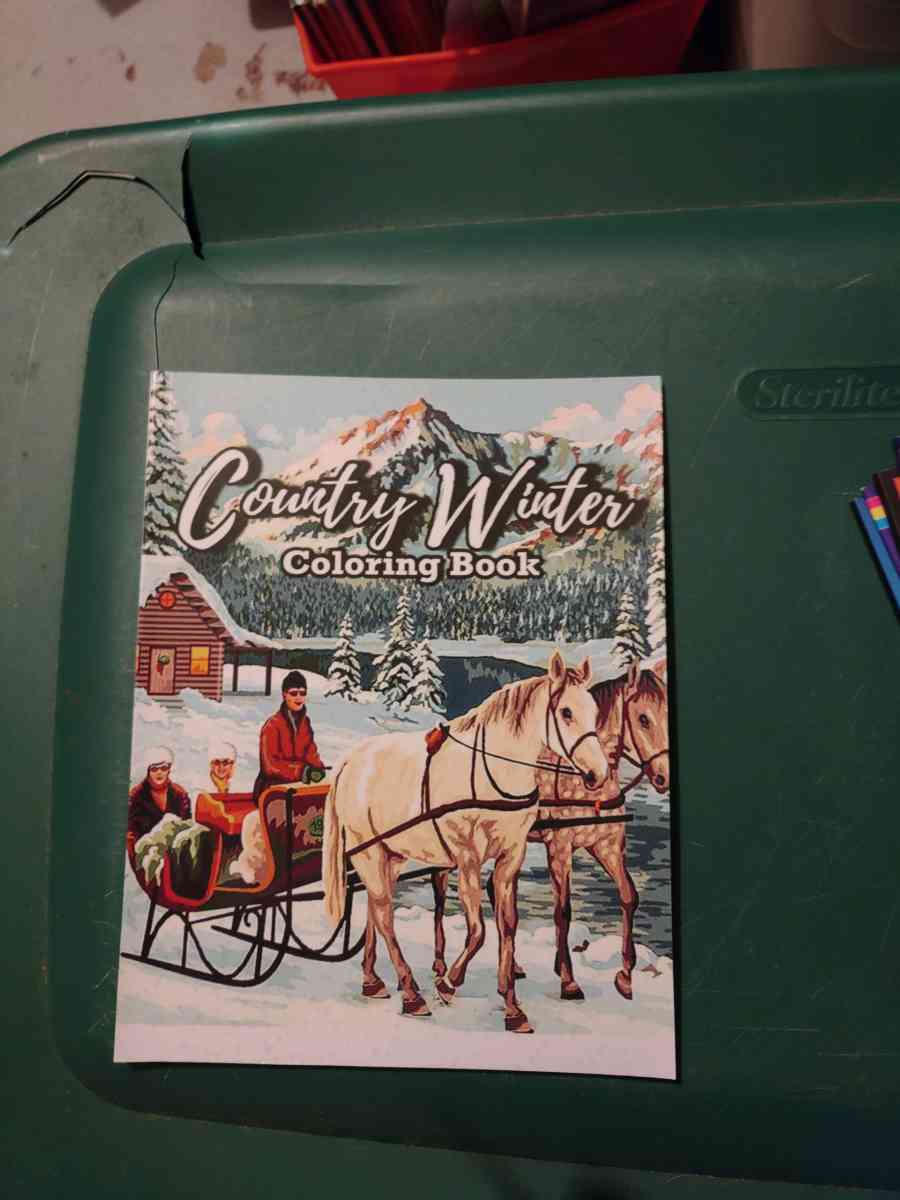 Country Winter coloring book