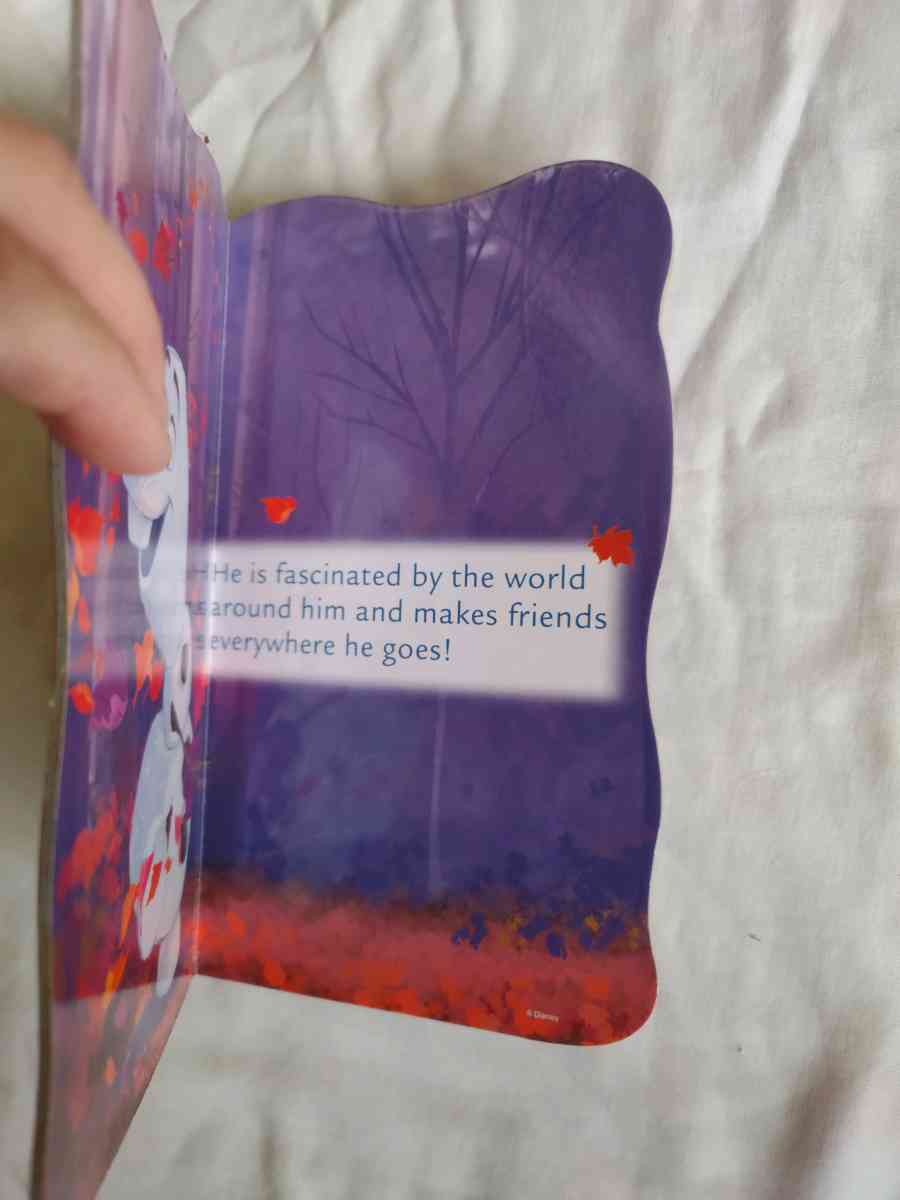 Frozen Boardbook - Gary, Indiana - FleaMarketBay