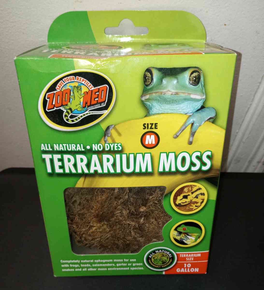 Terrarium moss