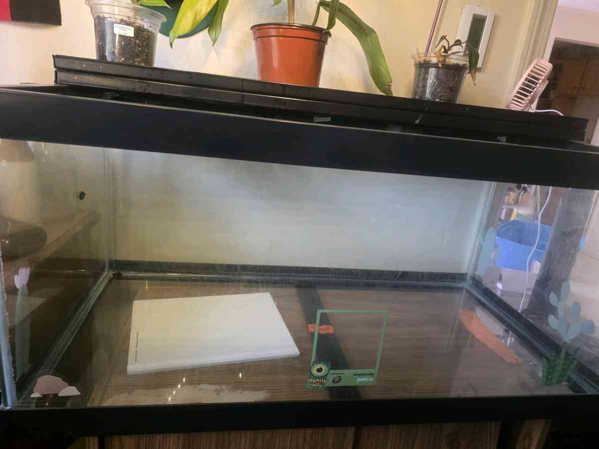 40 Gallon Reptile Tank - Jaffrey, New Hampshire - FleaMarketBay