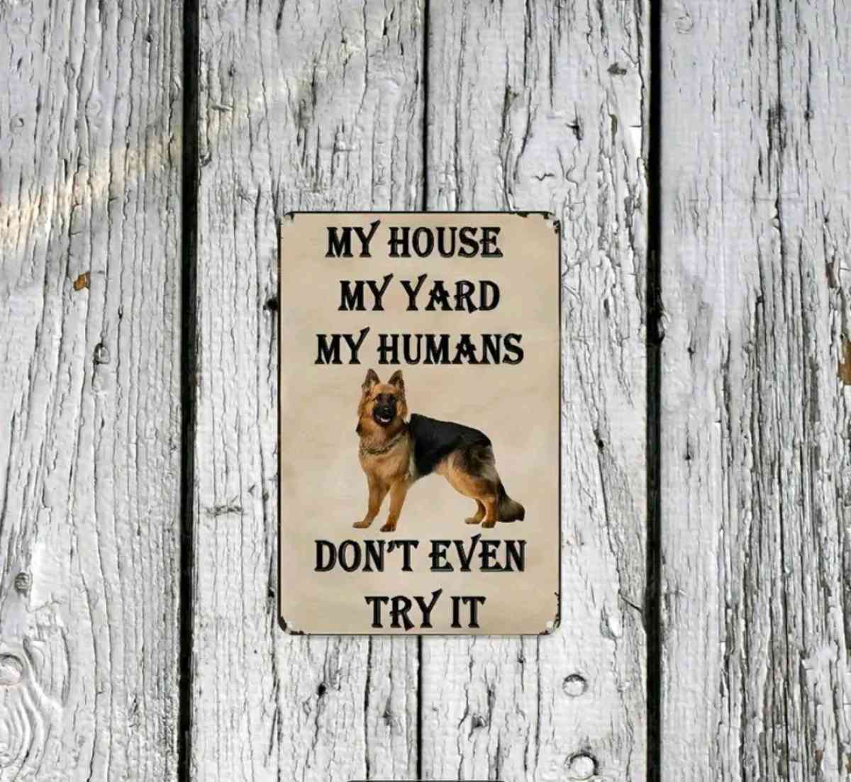 Beware of Dog Sign - Palm Bay, Florida