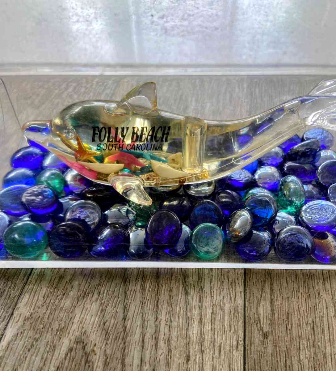 Folly Beach South Carolina Dolphin - Tiffin, Ohio