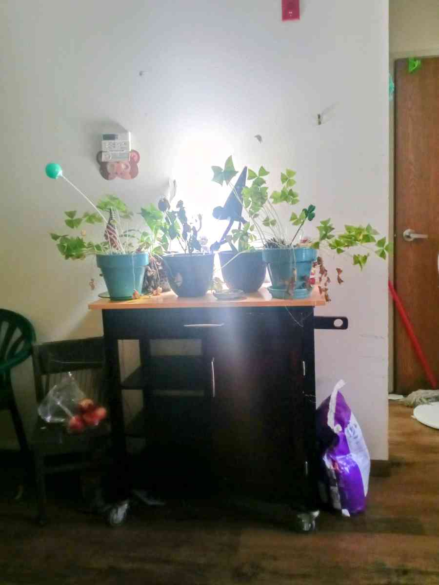 microwave cart - Adamsville, Ohio