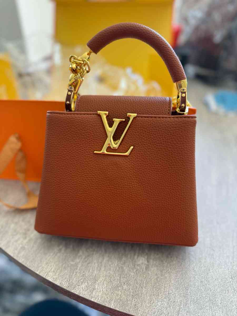 LV Purse