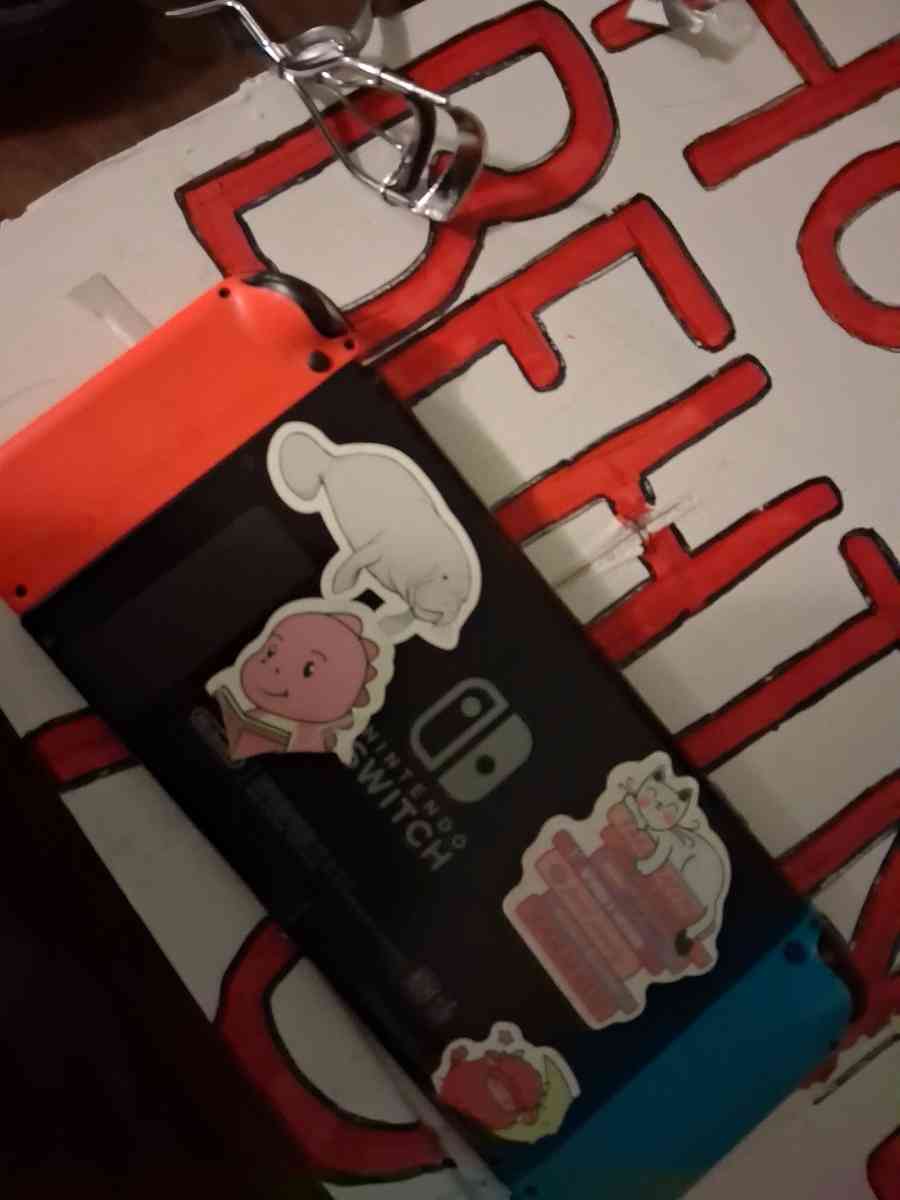 NETENDO SWITCH GREAT CONDITON - Saylorsburg, Pennsylvania - FleaMarketBay