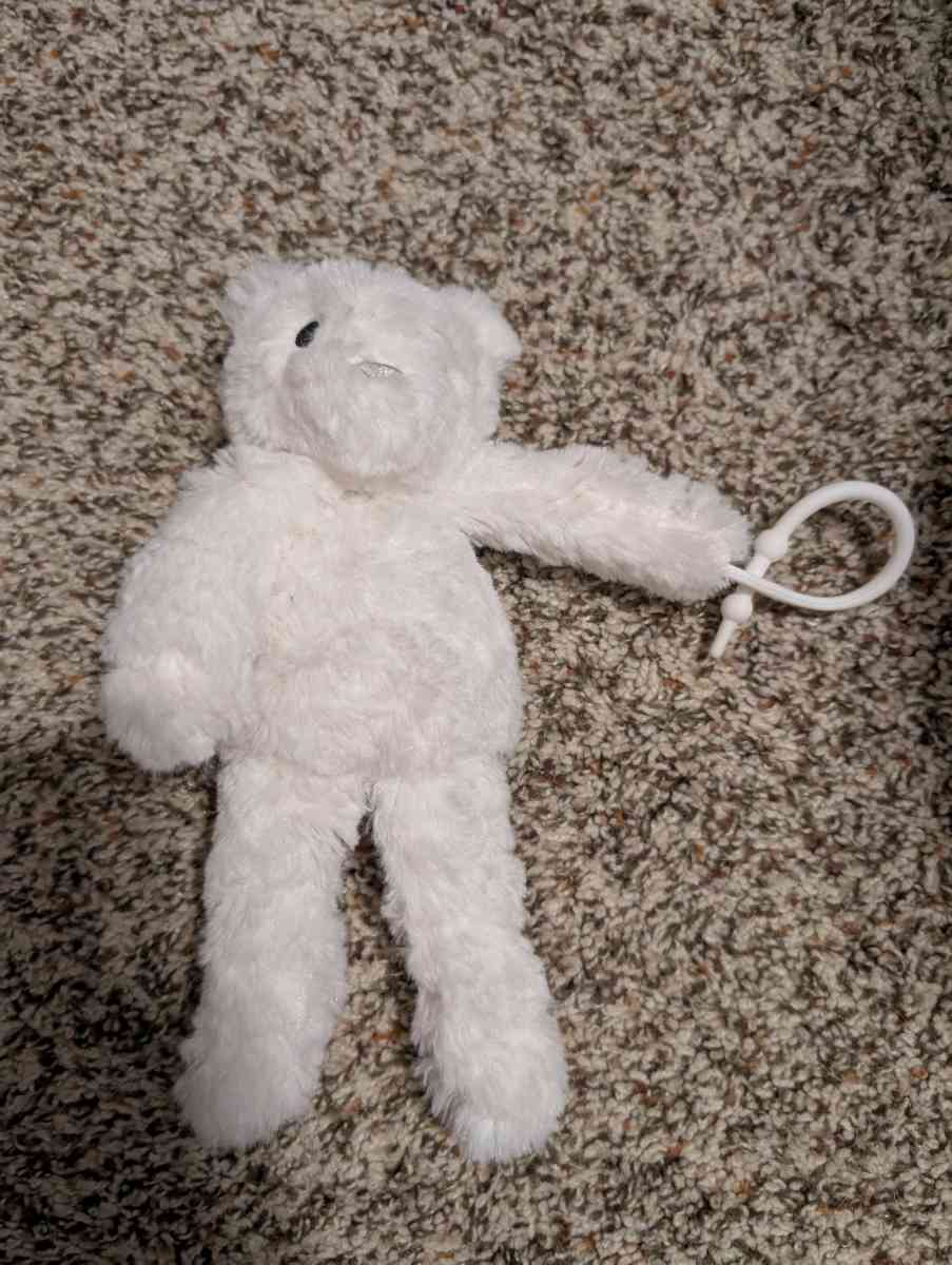 Plush bear pacifier holder - Savannah, Georgia